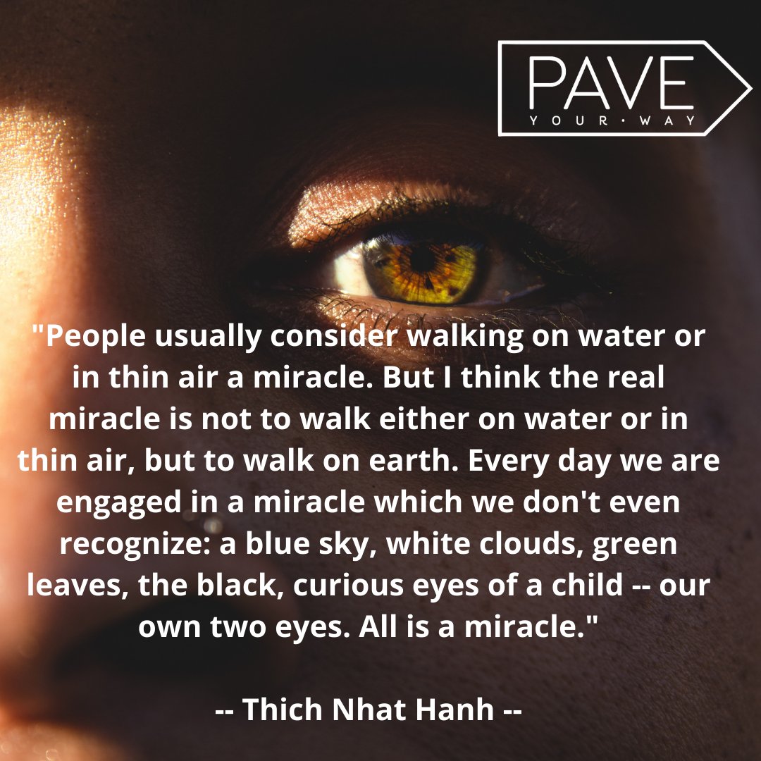 ninacashman's tweet photo. In honor and celebration of a human being who has inspired and helped so many others, including me. All my gratitude to the life Thich Nhat Hanh, whose soothing words have brought, and will continue to bring, peace and calm to the living. RIP #thichnhathanh #miracles #lifeisagift https://t.co/CE0uPXZl7z