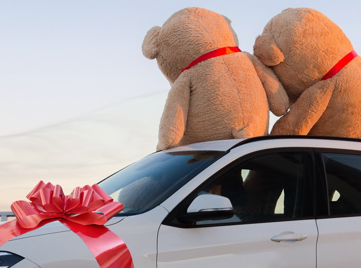 Need somewhere to store a BIG Valentine's Day gift? Rent on a month-to-month basis at Allsafe Storage, Bozeman
1695 Cobb Hill Rd., Bozeman, MT 59718         
406-406-577-1470 allsafestoragebozeman.com #declutter #valentinesday #teddybears #sportscar #storage