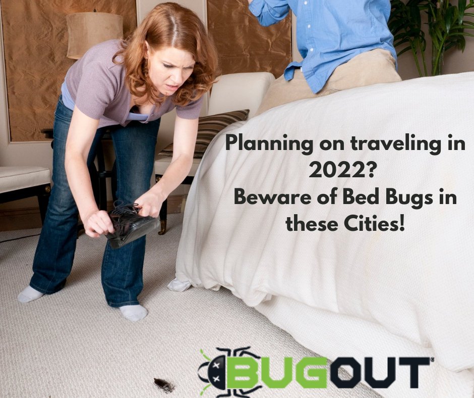 BugOut_Service's tweet image. Traveling in 2022? These US cities have the most bed bugs!

Need bed bug control? Visit bugoutservice.com/bed-bug-contro… NOW!

Article: 
foxbusiness.com/lifestyle/trav…
