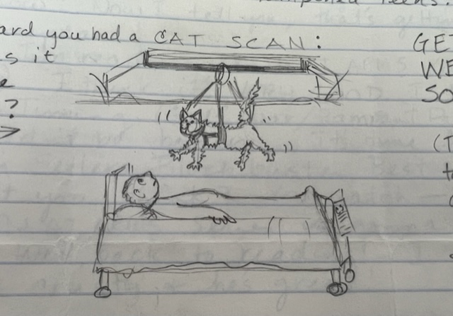 Found in the Con Sellers Papers. Anyone need a cat scan? #cats #libraries #SMTTT