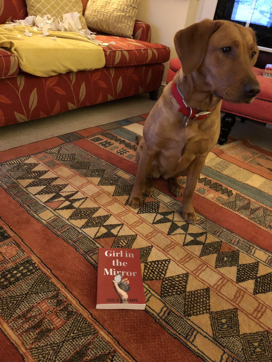 joolsdares's tweet image. Books have arrived!!! Cue excited author and dog! #girlinthemirror she ate the packaging #redlab