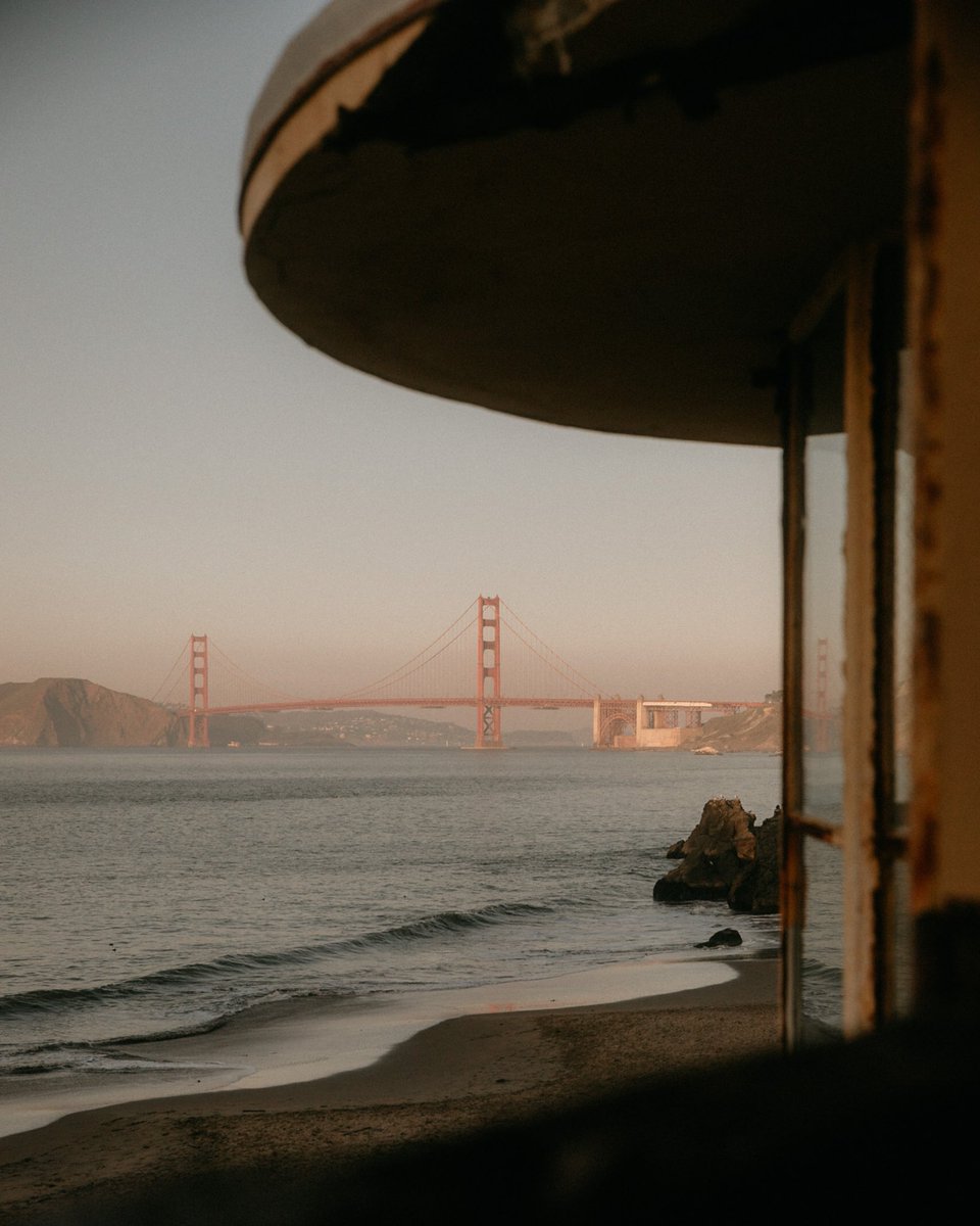 Elle Kaiser tweet media