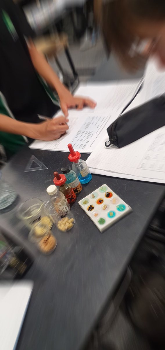 Avantis | Official Announcements News tweet media