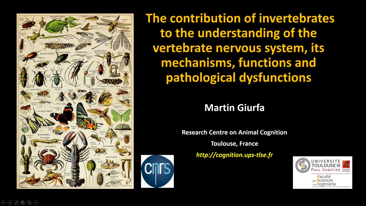 MartinGiurfa's tweet photo. I enjoyed speaking about the "Importance of Invertebrate Models for the Neurosciences" for the expert committee of the 'Institut Thématique Multi Organismes Neurosciences', which gathers CNRS &amp; INSERM, fundamental &amp; medical research. Nice discussions, great ambiance. Thanks! https://t.co/vVVxkoYdP9