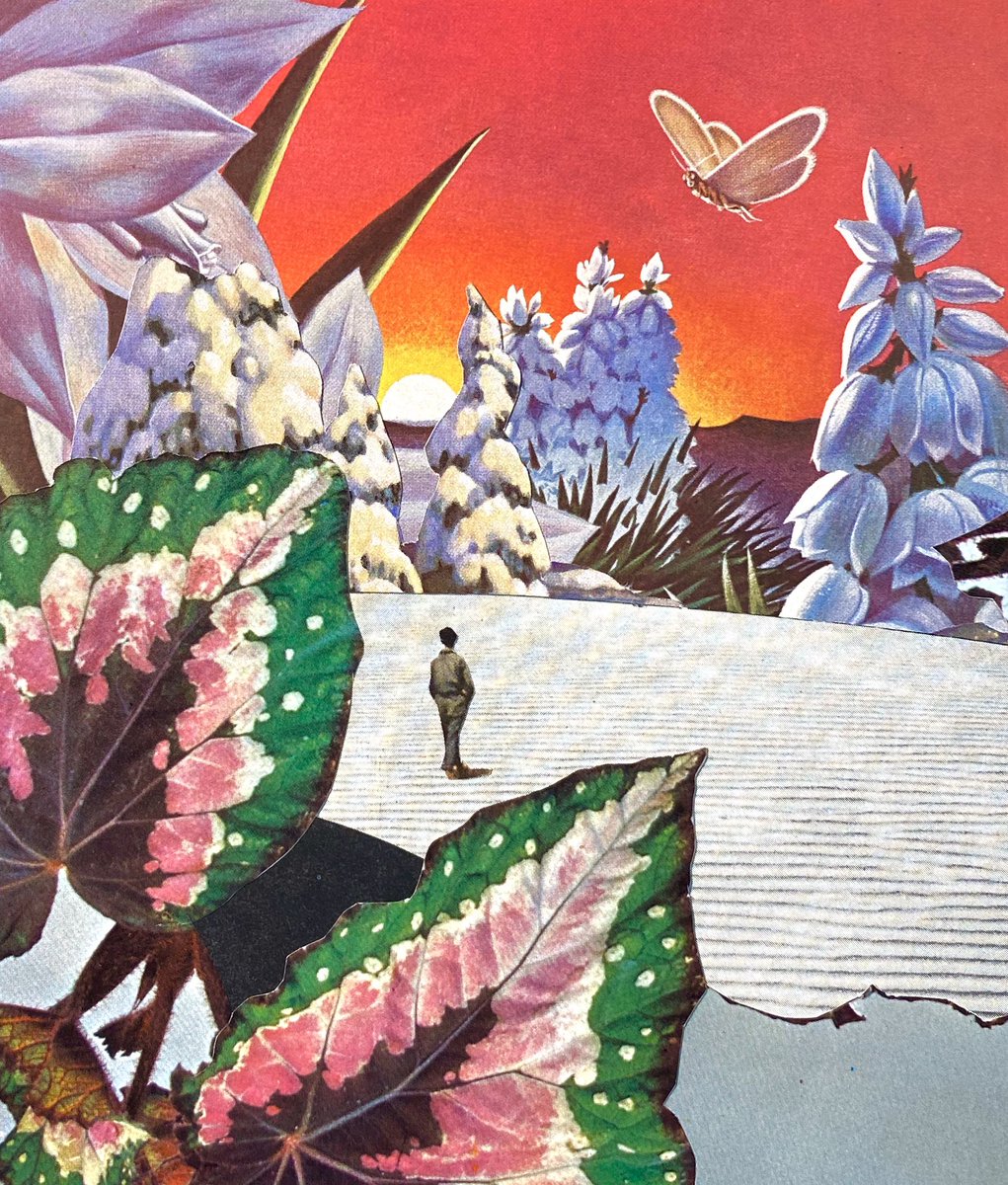 Johnny Solami (JohnnySolami) Twitter