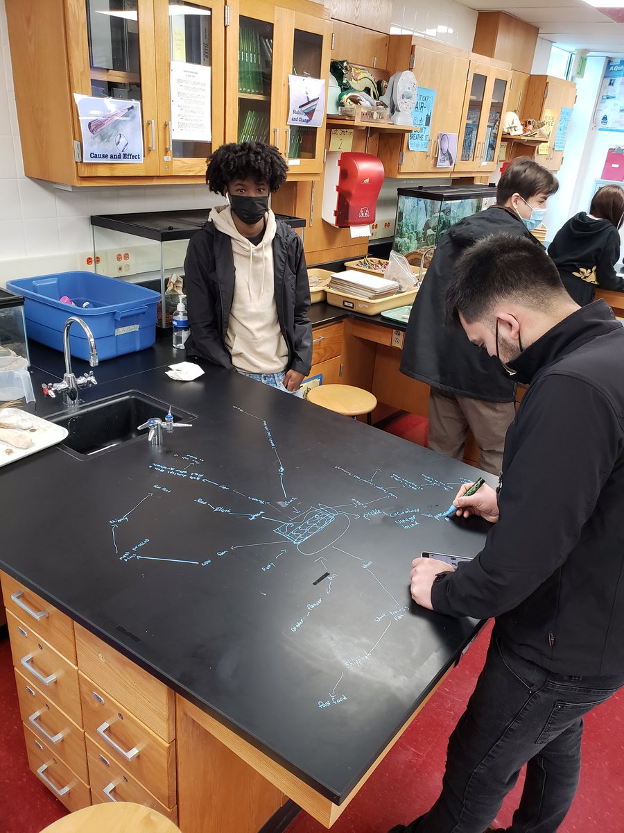 IveyScience's tweet photo. Mapping the impact of a cheeseburger in Environmental Science! https://t.co/51l9VEfbvM