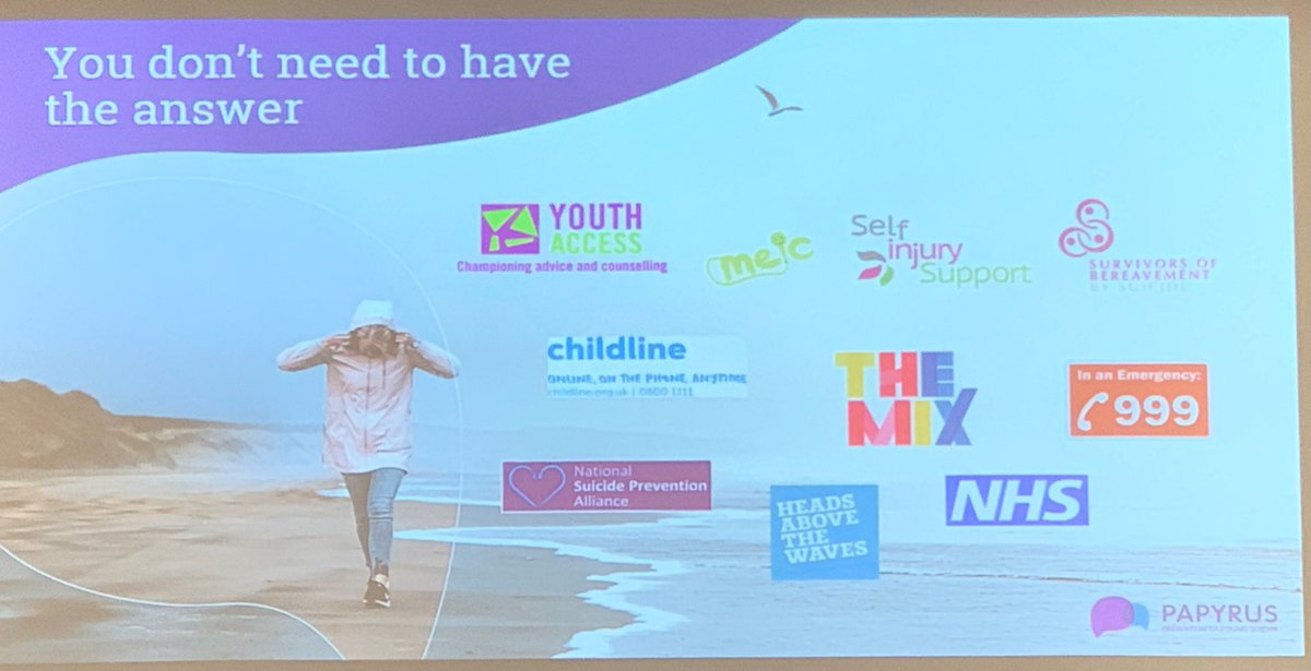 CHS Wellbeing tweet media