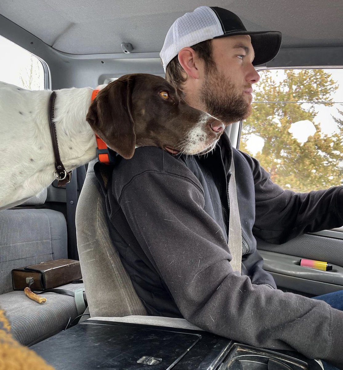JesseMspence88's tweet photo. Mans best friend 💜🌷 https://t.co/xoZjbemwSV