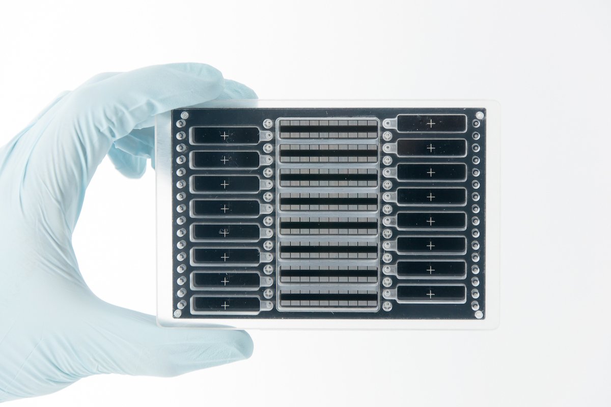 Schia Ventures partecipa al nuovo round di CellPly dlvr.it/SHngx5