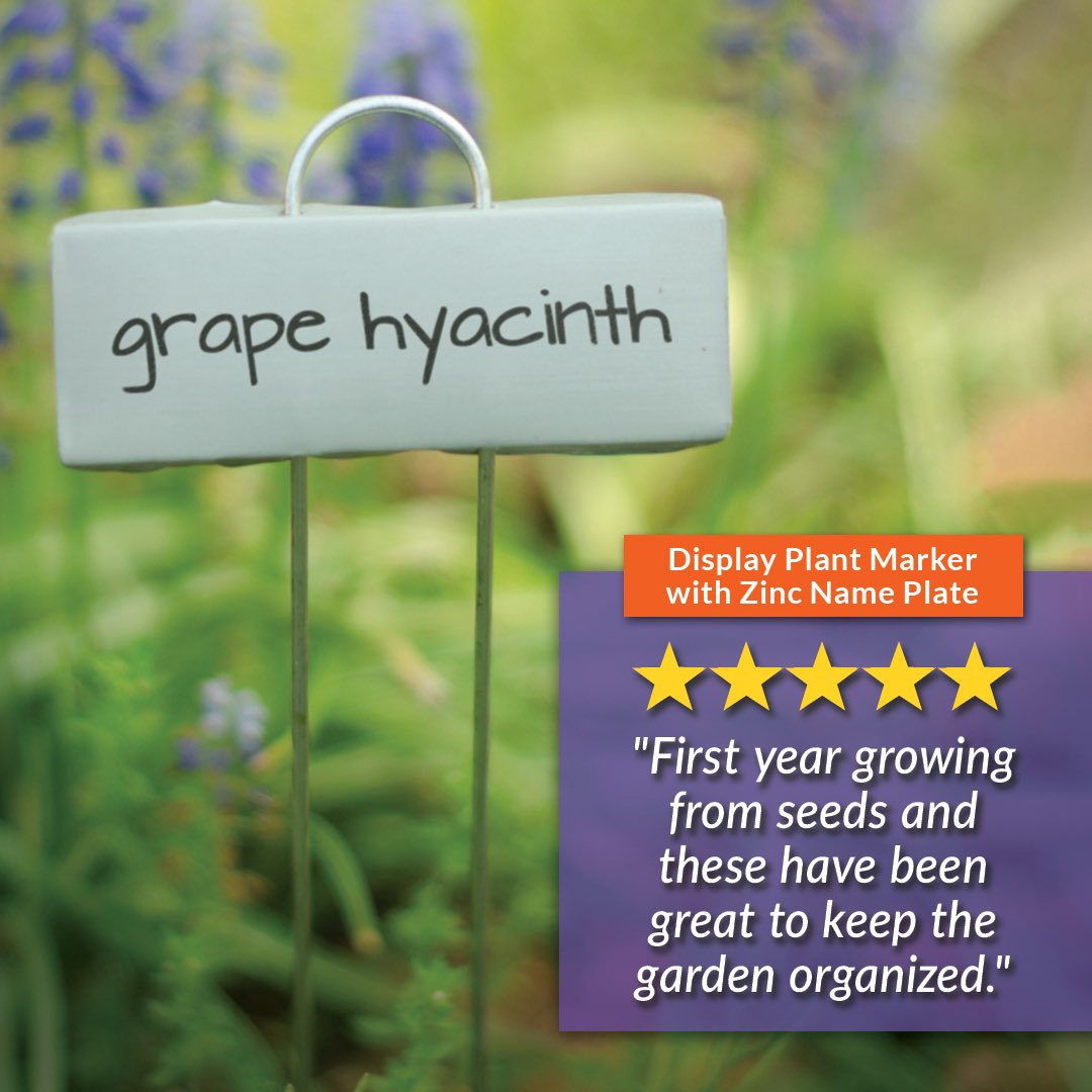 gardenersedge's tweet photo. Weatherproof garden label that retains presentation and legibility year after year.
https://t.co/3HC2AWEmFN https://t.co/pX2duesJVI