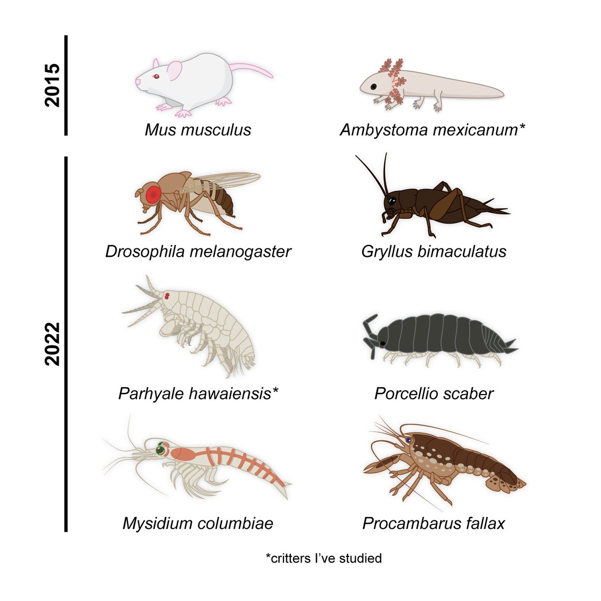 Dennis Sun tweet media