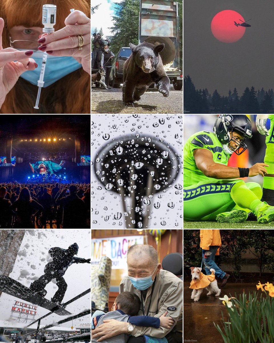 amandamsnyder tweet media