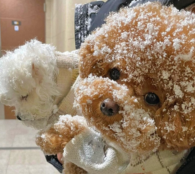 SailorTree's tweet image. fat free sugar donut! all the feels 🥰💋