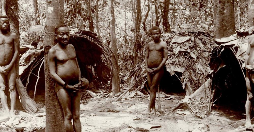 This week's  #FromLocalToGlobal post explores how the different BaMbuti communities of the Ituri Forest adapt traditional practices to meet their needs for hunted and cultivated foods. 

Read more ⬇️

fromlocaltoglobal.co.uk/subsistence-fr…