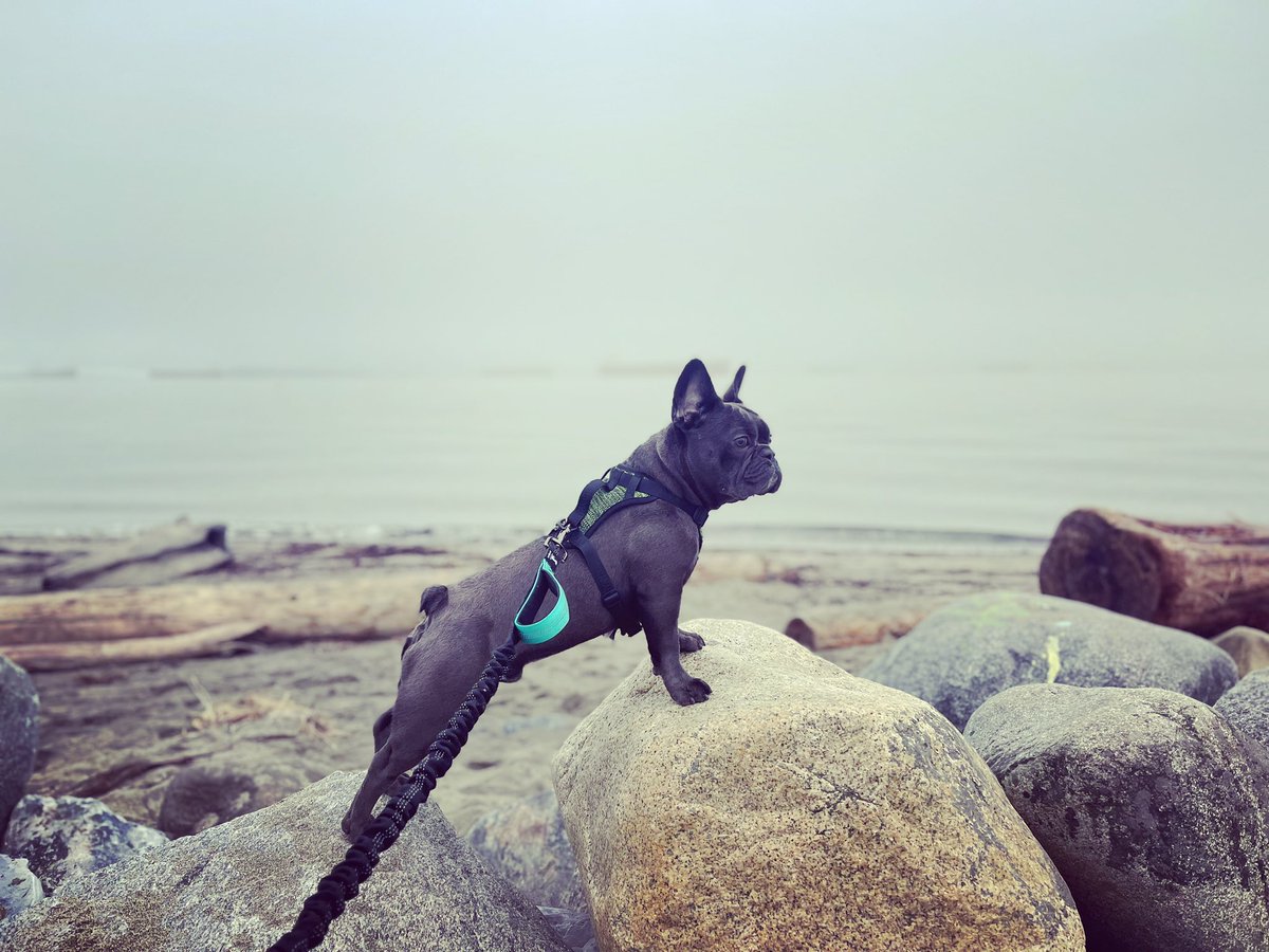 Nadine Ramsden tweet media