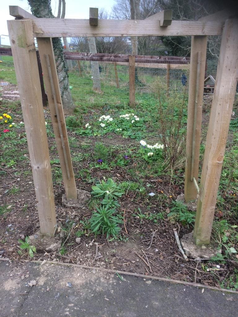 Theresa Kelly tweet media