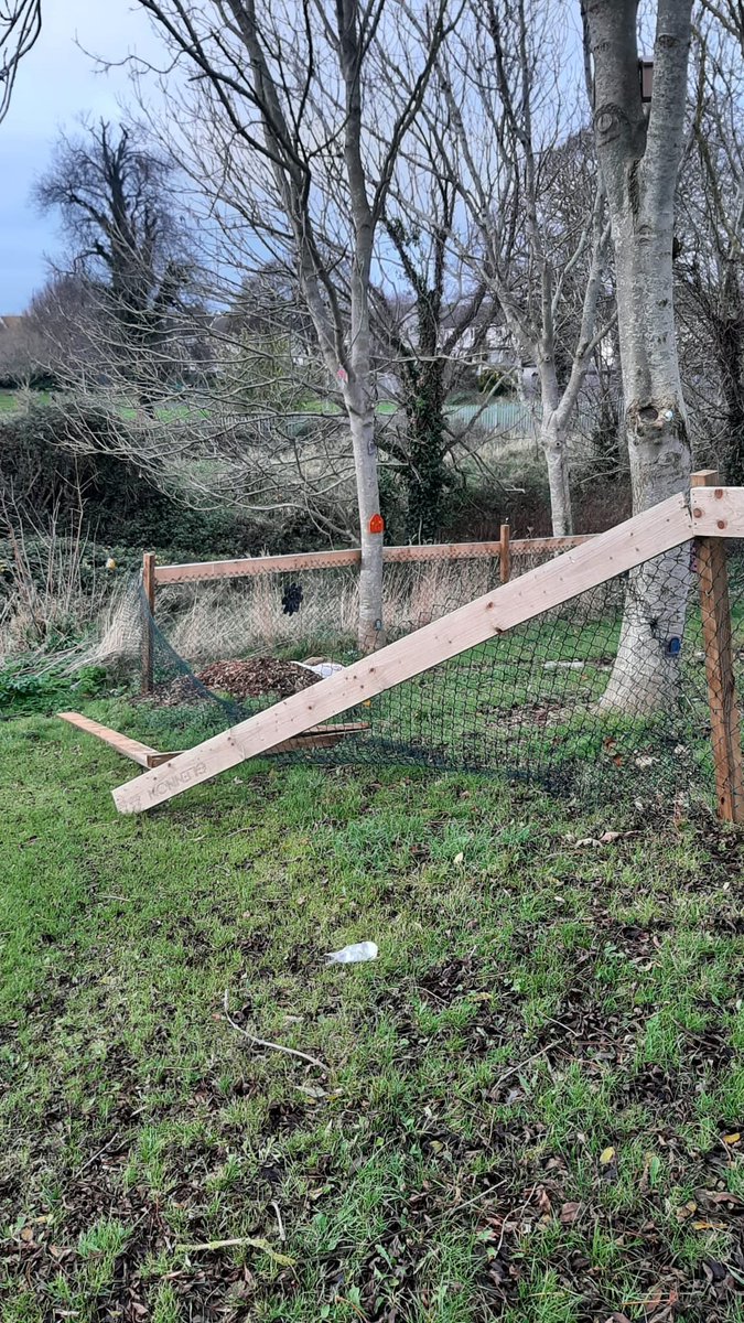 Theresa Kelly tweet media