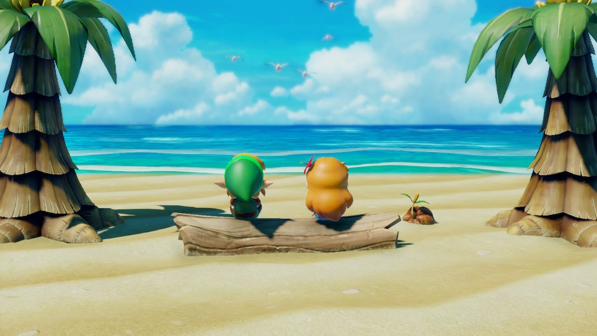 #LinksAwakening #NintendoSwitch