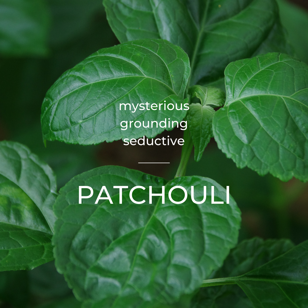 dryskinlove's tweet photo. Patchouli evokes the archetype of The Queen

The Queen holds the energy of mother, leader and goddess. She is loving, calm, wise, fierce, mysterious and seductive.

#patchouli #patchoulioil #queenpatchouli https://t.co/HCyl8qj7Gt