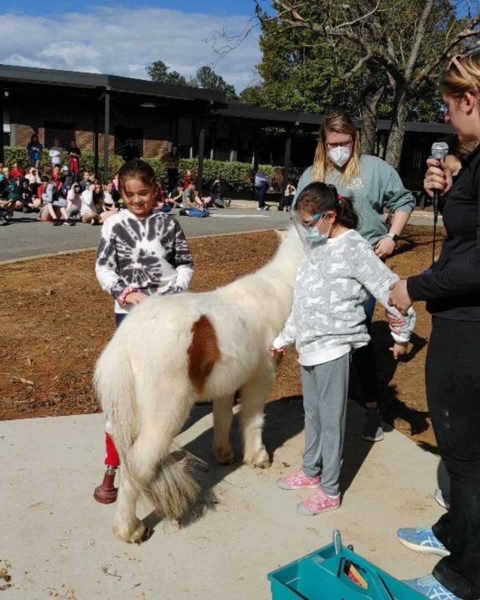 TheRedBarnAL's tweet photo. Circle of Friends at Brookwood Forest Elementary School was perfect. A few of our students got to help show off Pogo! Thank you to Principal Pitner and the Bateh family for inviting us! https://t.co/61srBvl4Ls