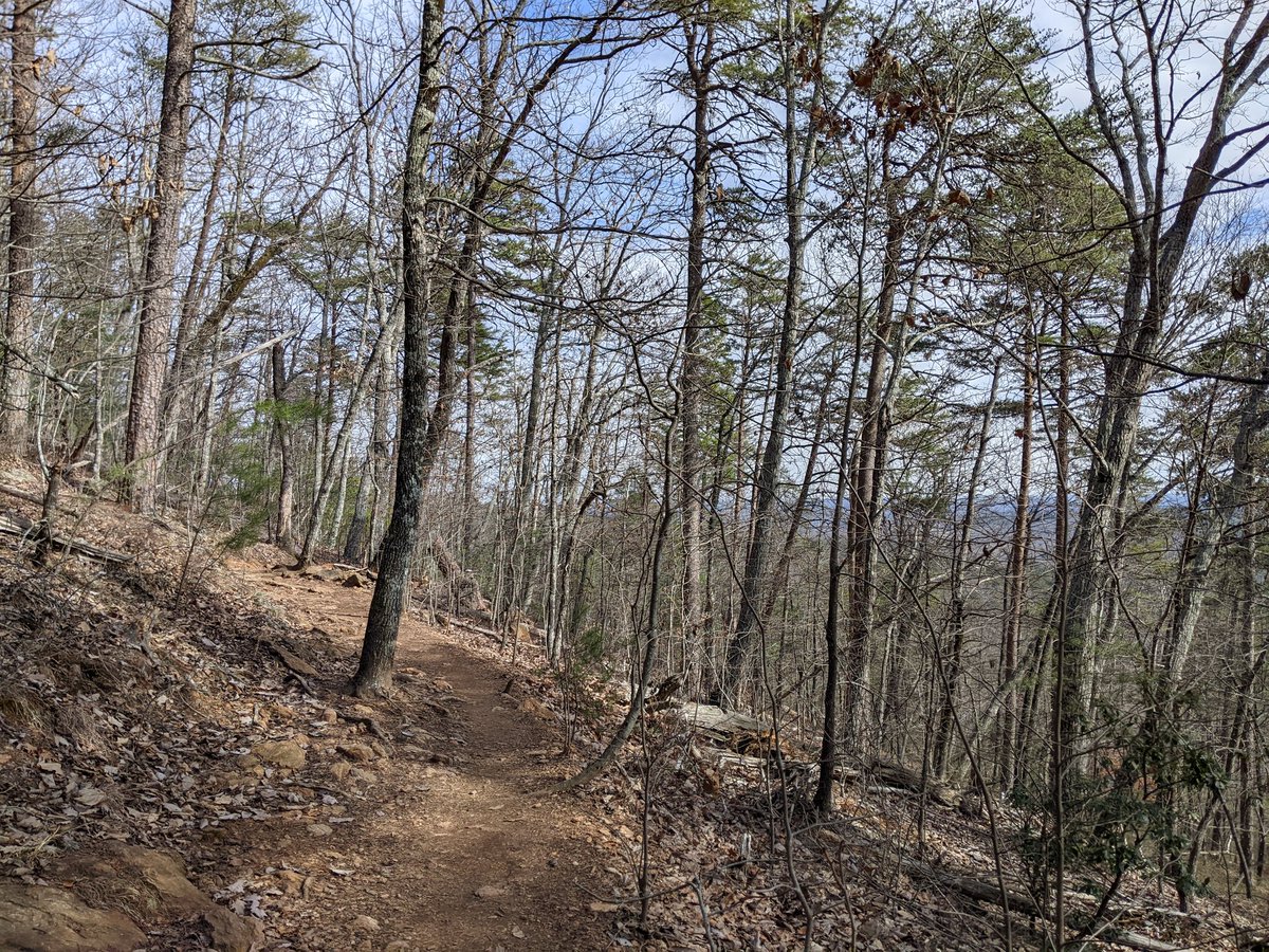 PandionGames's tweet image. I decided to take a short break this afternoon and go for a hike at Paris Mountain State Park!