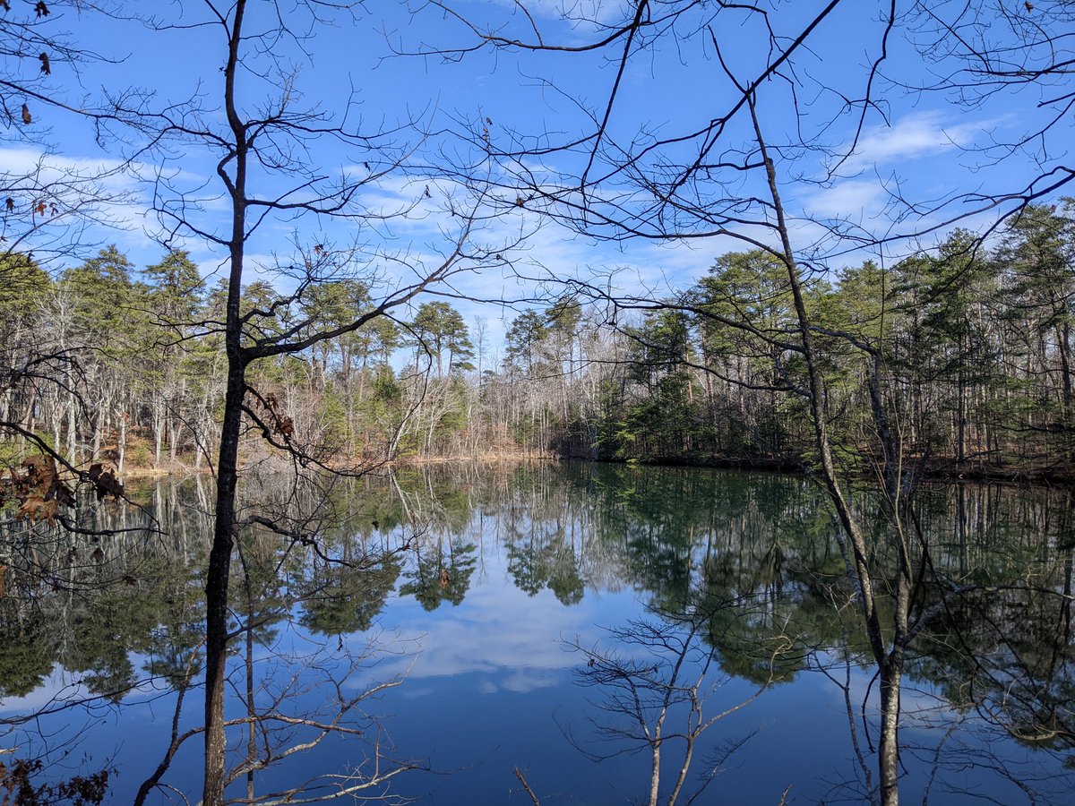 PandionGames's tweet image. I decided to take a short break this afternoon and go for a hike at Paris Mountain State Park!
