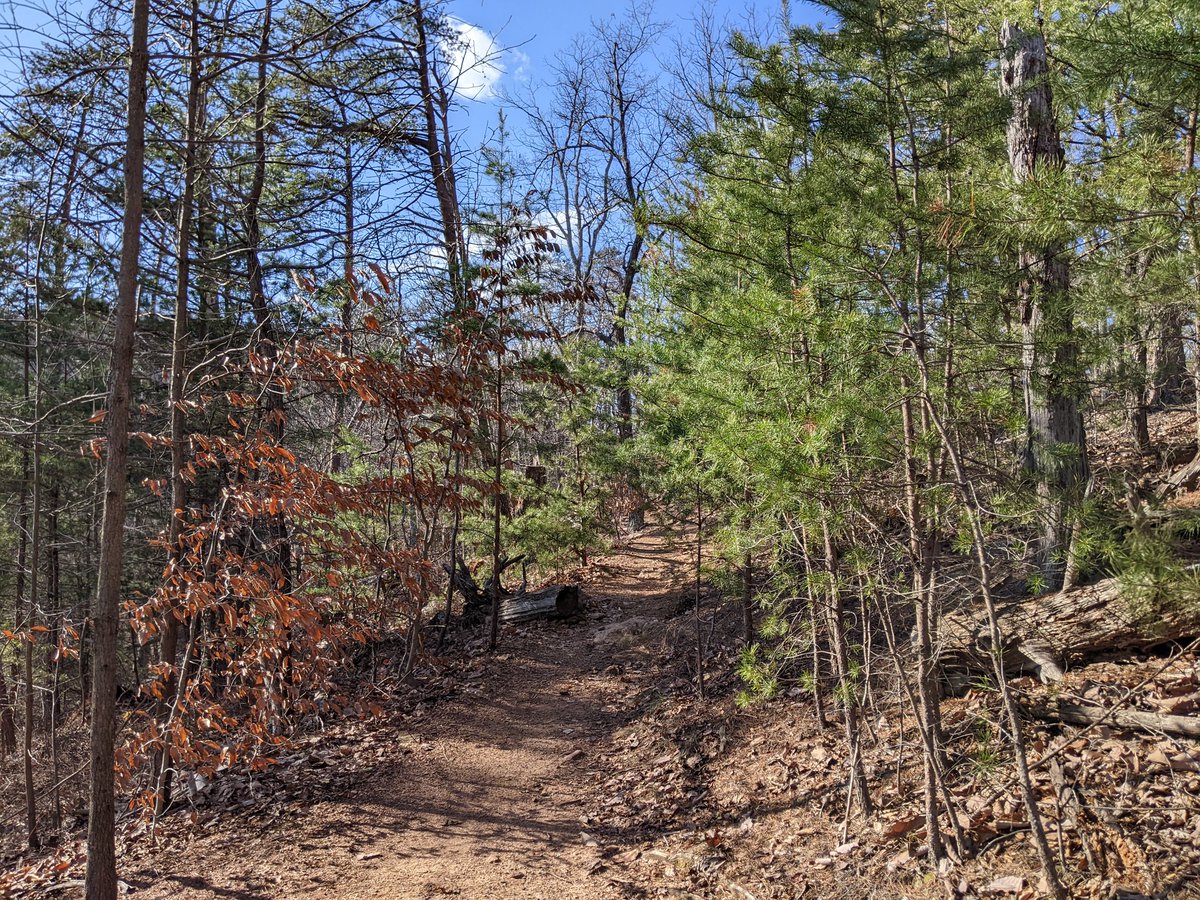 PandionGames's tweet image. I decided to take a short break this afternoon and go for a hike at Paris Mountain State Park!