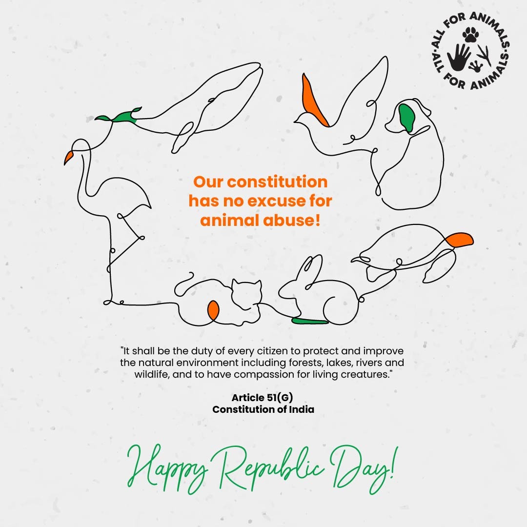 AllForAnimalsF1's tweet photo. Saffron 🐯 White 🦢Green🐍

Our motherland is home to a diverse range of flora &amp; fauna. This #republicday , let's vow to preserve the sanctity of our wildlife!

#RepublicDay2022 #RepublicDayParade #AnimalWelfare #RepublicDayIndia #animallovers

@Archi0811 @Voiceofanimals1 https://t.co/LGCHIrRvcK