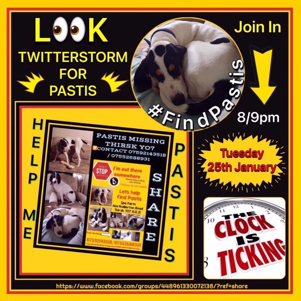 KarenFi51820768's tweet photo. #FindPastis #Twitterstorm now on please #RT to all who can help 🙏 https://t.co/uM0WIJsBY0