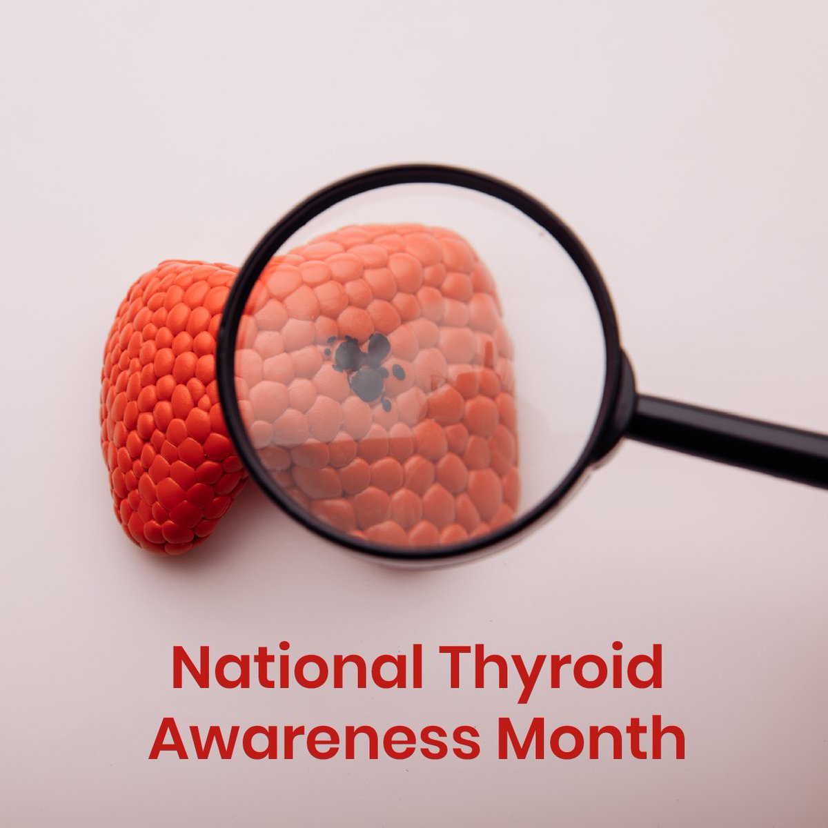 FomatMedical's tweet photo. 🔔 FOMAT wants to remind you that NOW is a great time to schedule your annual physical and speak to your doctor about your thyroid health! 🔔
•
•
•
•
#ThyroidAwareness #thyroidhealth #awarness #ThyroidAwarenessMonth #Thyroid https://t.co/GaO5YMSfaB