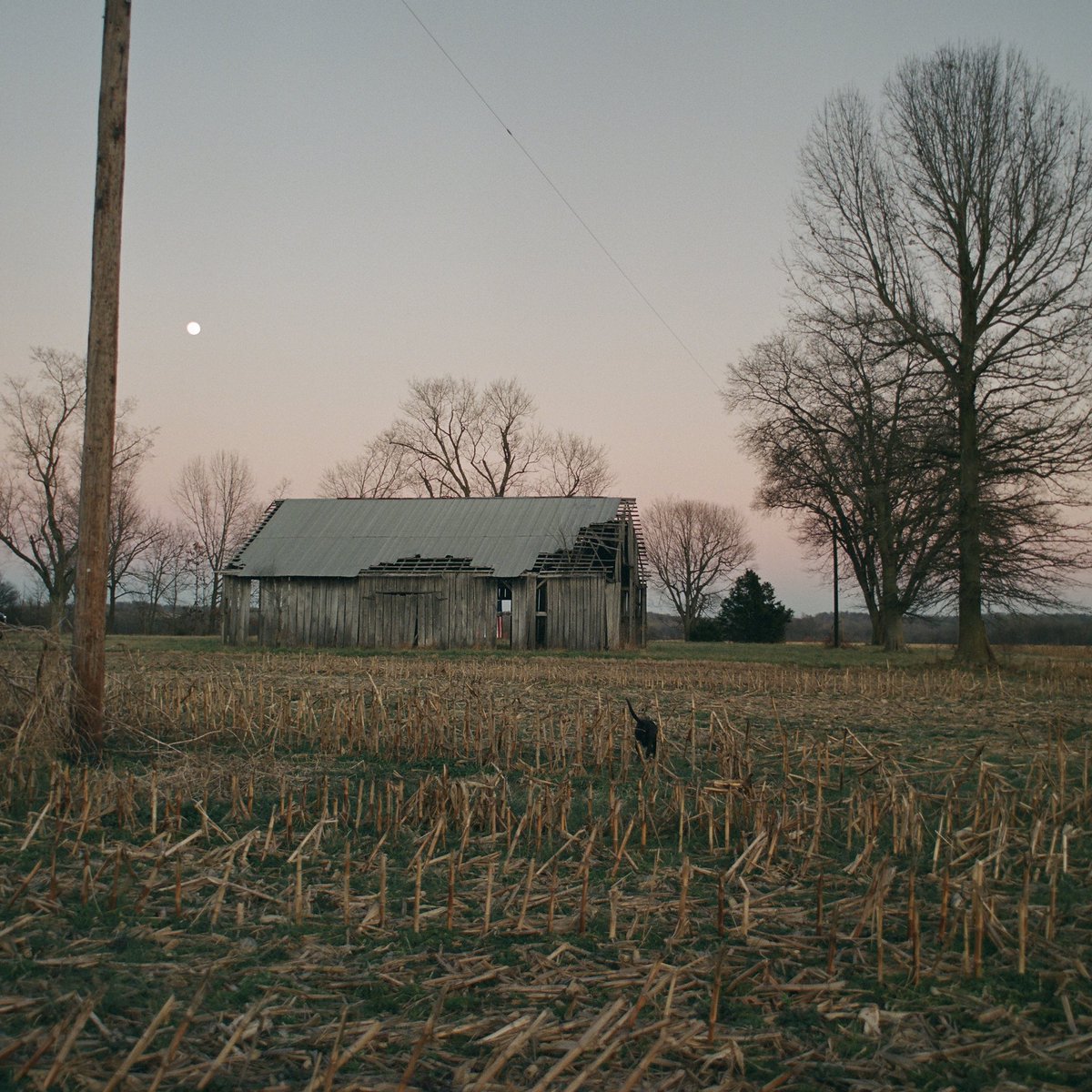 American Heartbreak will be available everywhere on May 20th. 

If you guys want updates on songs being released before the whole album, you can follow the link in my bio and get notified when things start releasing.