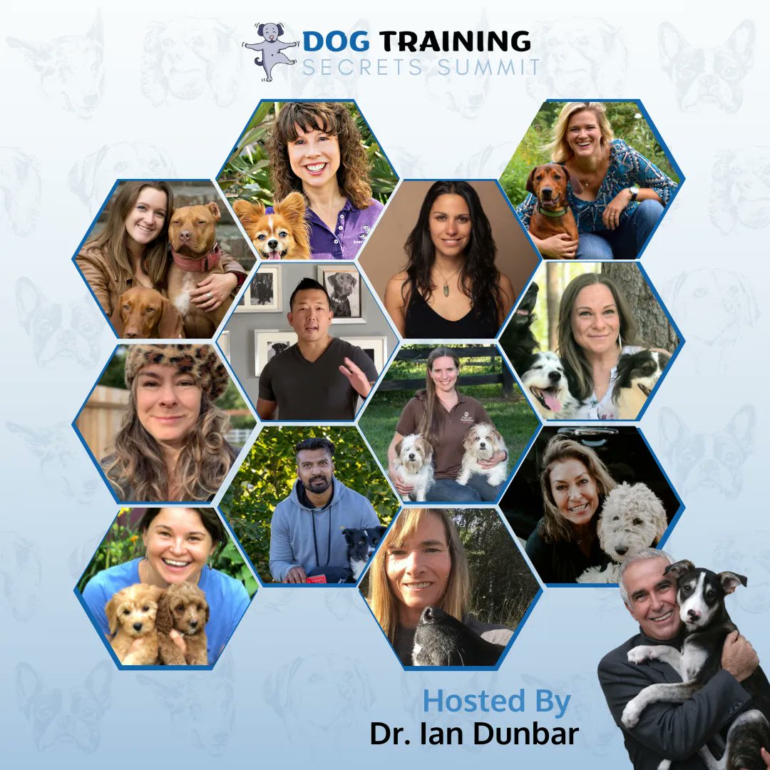 SuraDogTraining's tweet photo. The FREE #DogTraining Secrets Summit hosted by world-renowned dog trainer and behaviorist Dr. Ian Dunbar starts on January 28 and runs until February 1! Register Today: https://t.co/wjrBob5ycK
#dogsoftwitter #Dogmom #dogs #puppies #DogsofTwittter #NTYDM2022 https://t.co/K5AYYgmptg