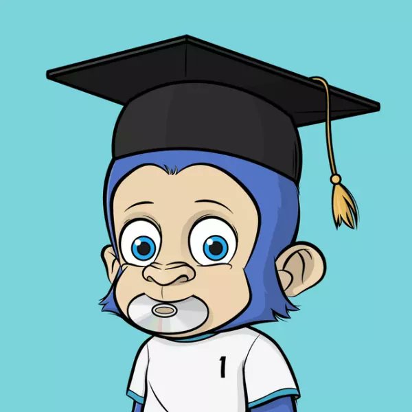 SolstreetWolvesDAO tweet media