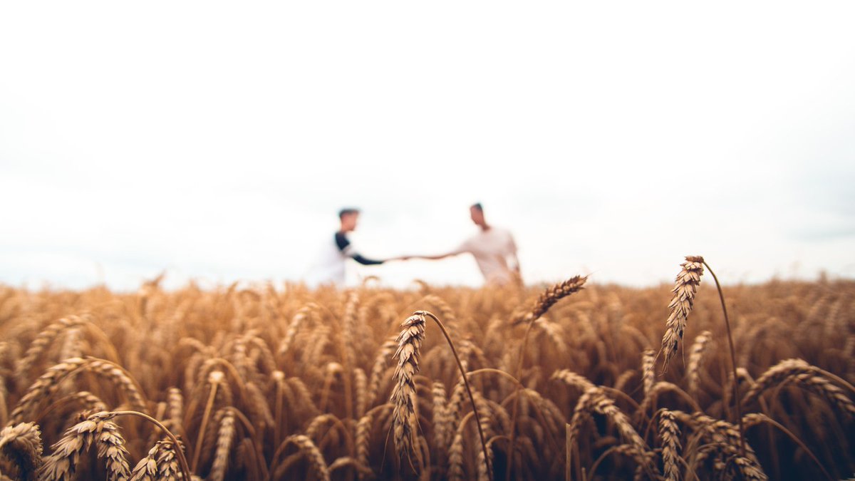 New Program to Provide Mental Health Supports to Farmers and Their Families

The program provides one-on-one counselling sessions by professional counselors with a background in agriculture 

Learn more: farms.com/news/new-progr…

#WestCdnAg #MBAg <a href="/FarmerWellness/">Farmer Wellness Program</a>