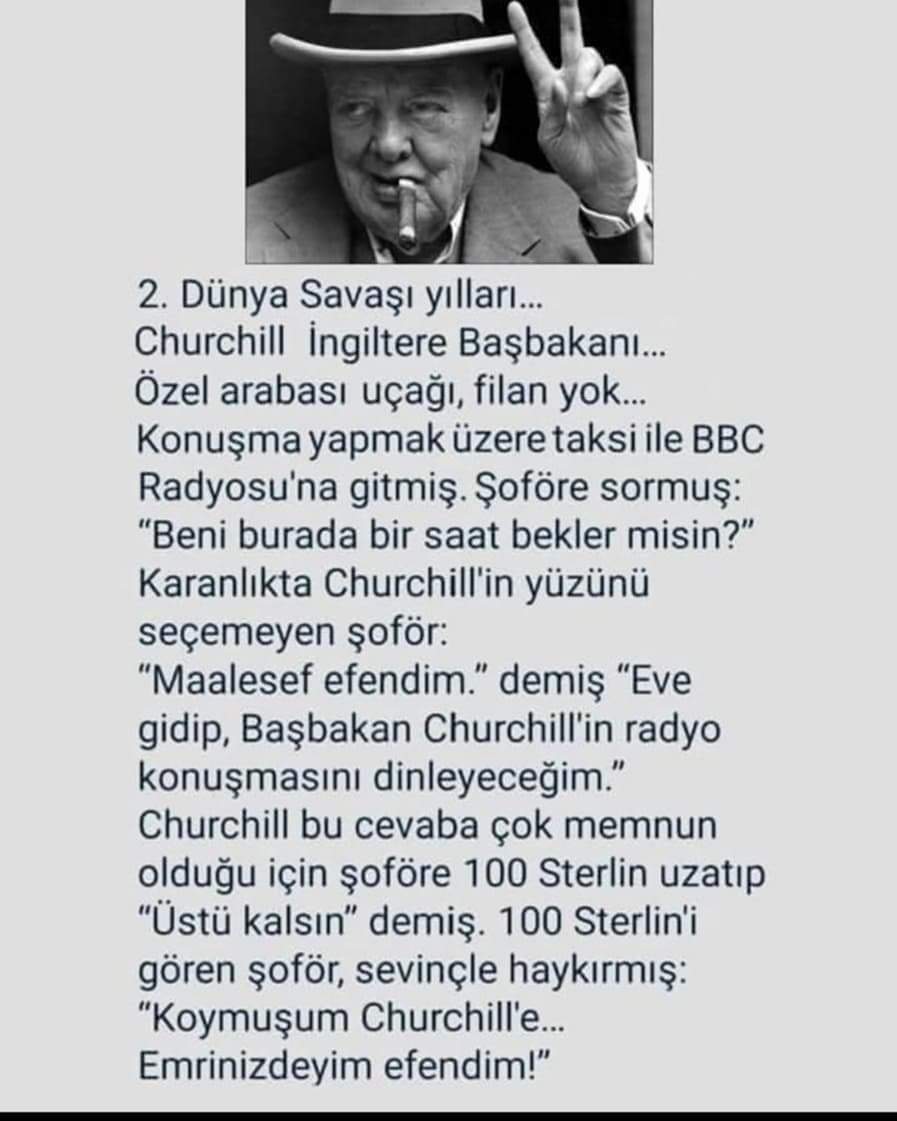 Varın siz karar verin