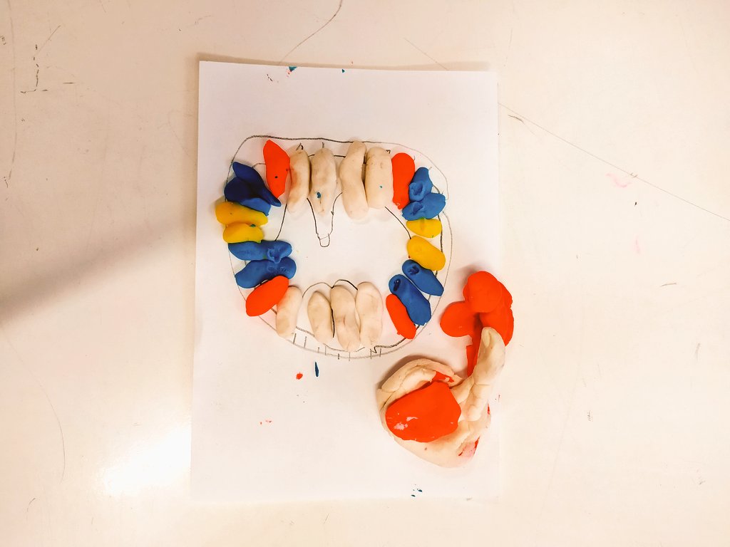 QueensCofE's tweet photo. #Year4 made their own #teeth today in #Science #DigestionSystem #Positivity #OOOMPHHH #Teamwork Can you name any teeth? @PrimaryScience @HYWEL_ROBERTS @PrimarySciences @CoventryMAT
Stay tuned for Year 3's super Science adventures tomorrow 👩🔬 https://t.co/oSne66mnsK