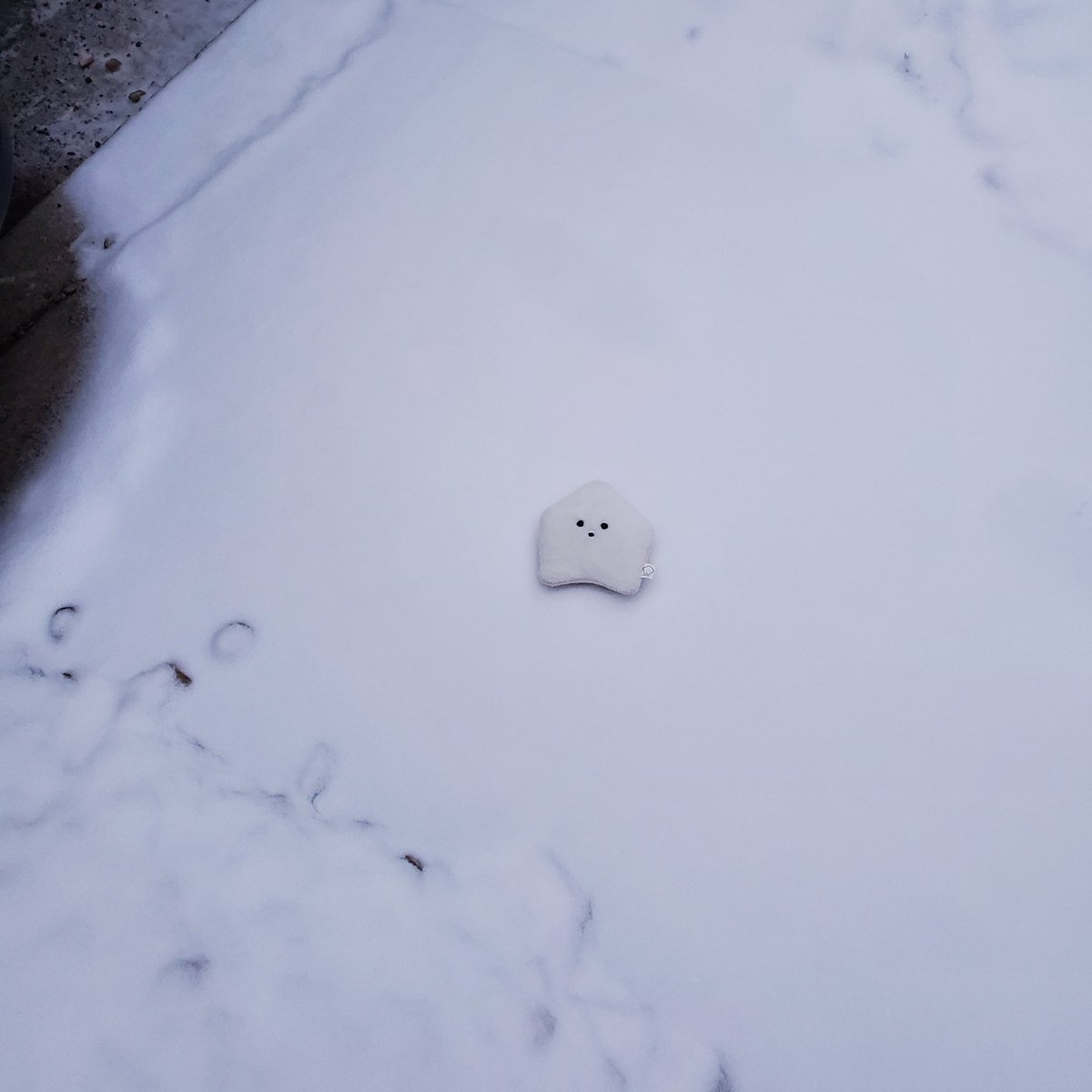 sucklet7's tweet photo. i love the snow.
#sucklet #snowlet https://t.co/vUK71SG2Yy
