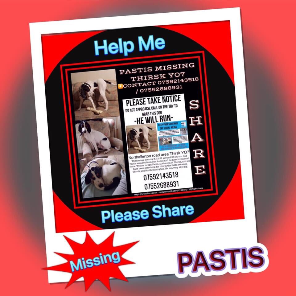 juliagarland73's tweet photo. #FindPastis https://t.co/JgKHvt9ZOg