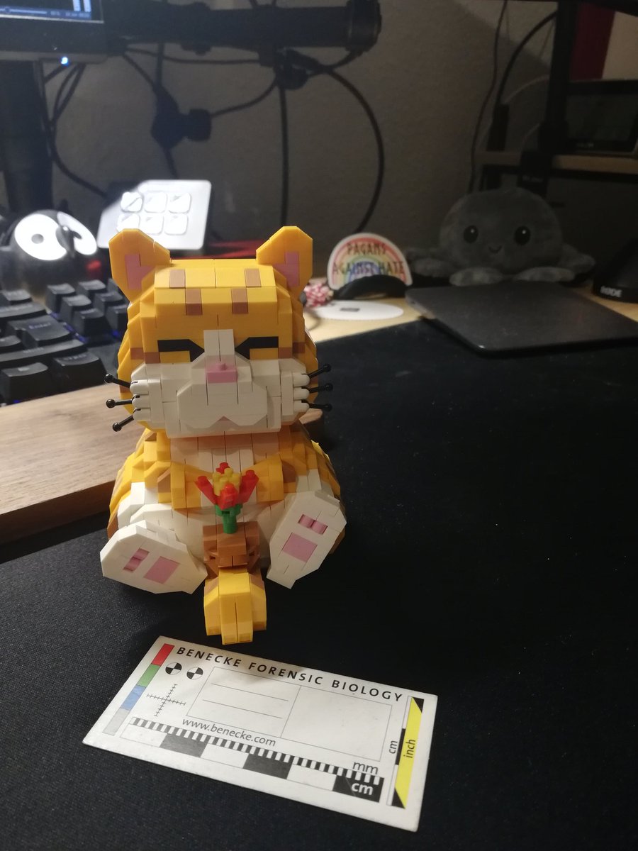 devnope's tweet photo. Katze fertig... Original Marc Benecke Teststreifen als Größenreferenz
#Klemmbausteine #Bluebricks #keinlego https://t.co/7bj1kIw0Gr
