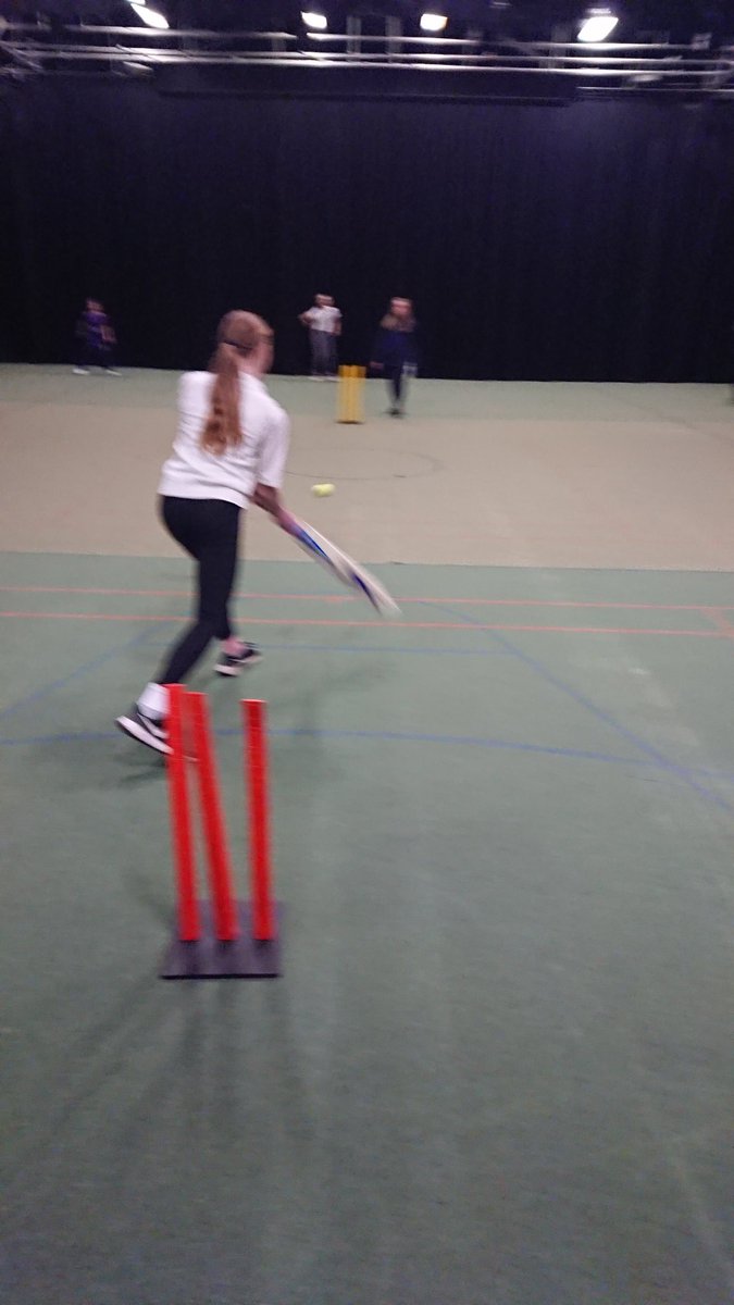 Exton Cricket tweet media