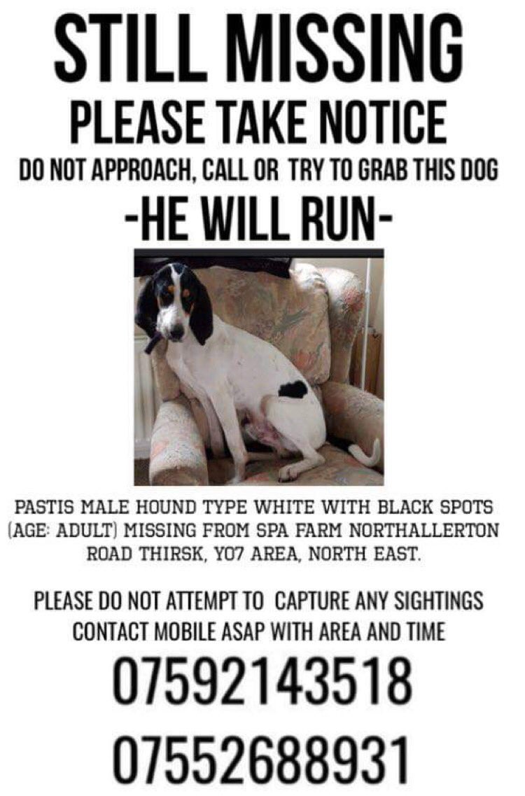colliesontherun's tweet photo. #FindPastis
He escaped from his garden 8/12/21
⛔️DO NOT ATTEMPT TO CATCH⛔️
👀 SIGHTINGS ONLY PLS📞in ASAP if seen #missingrescuedog 🆘🆘🆘
https://t.co/8SnMHytwZY
#THIRSK
@BlueFrenchie1 @WaterhousePat @KBeanbag @getskyhome @joannew0112 @BryantDjbryant https://t.co/N9kV96O4Tp