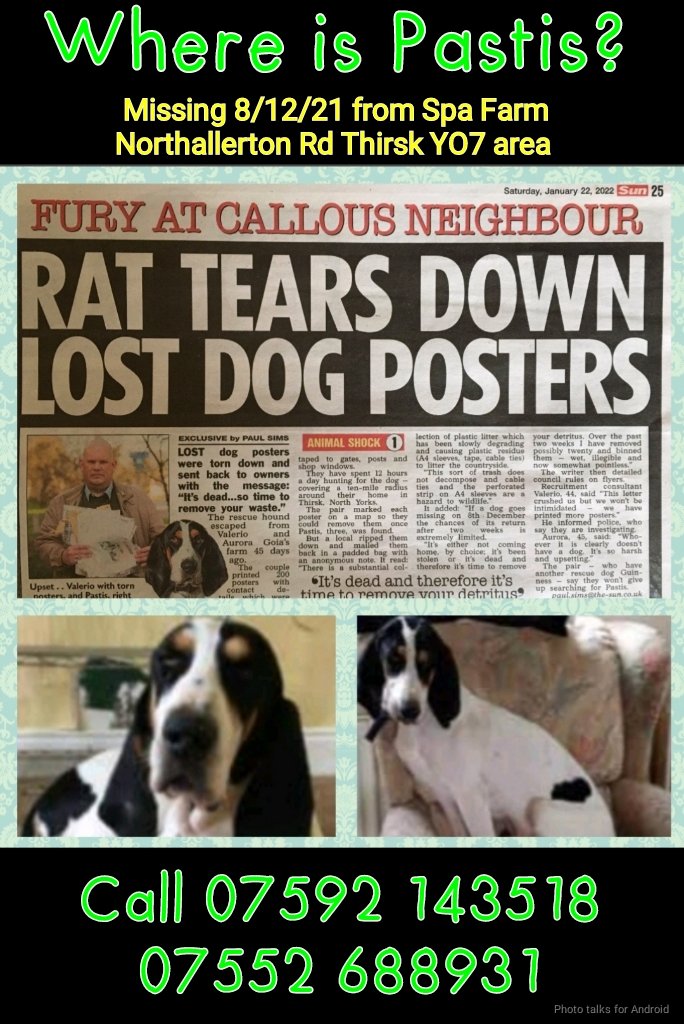 rejannealb's tweet photo. @FindFlossie @MissingPetsGB #findpastis https://t.co/TDv5En0vnn