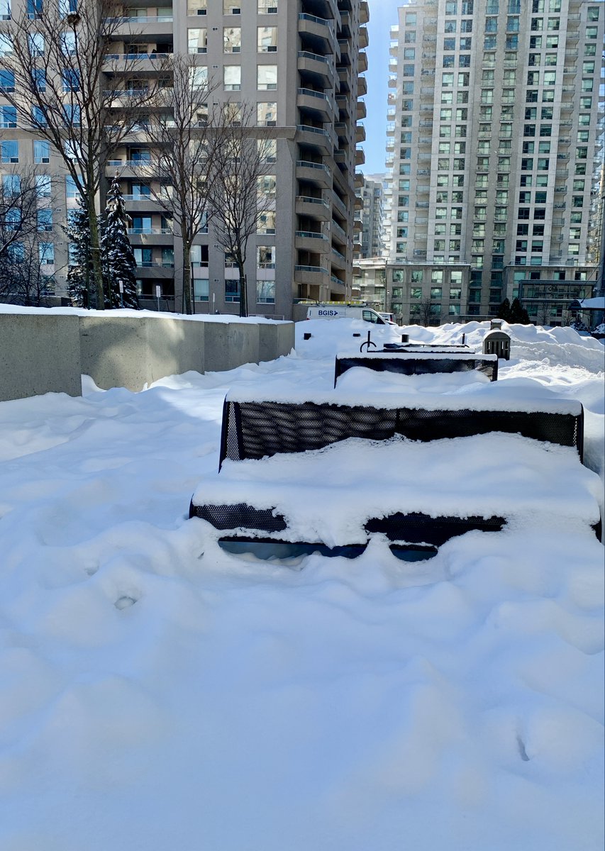 eptoronto's tweet photo. トロント🇨🇦、今朝も☃️雪が....
ベンチにすわれません😅 https://t.co/dAcTNhOxwt