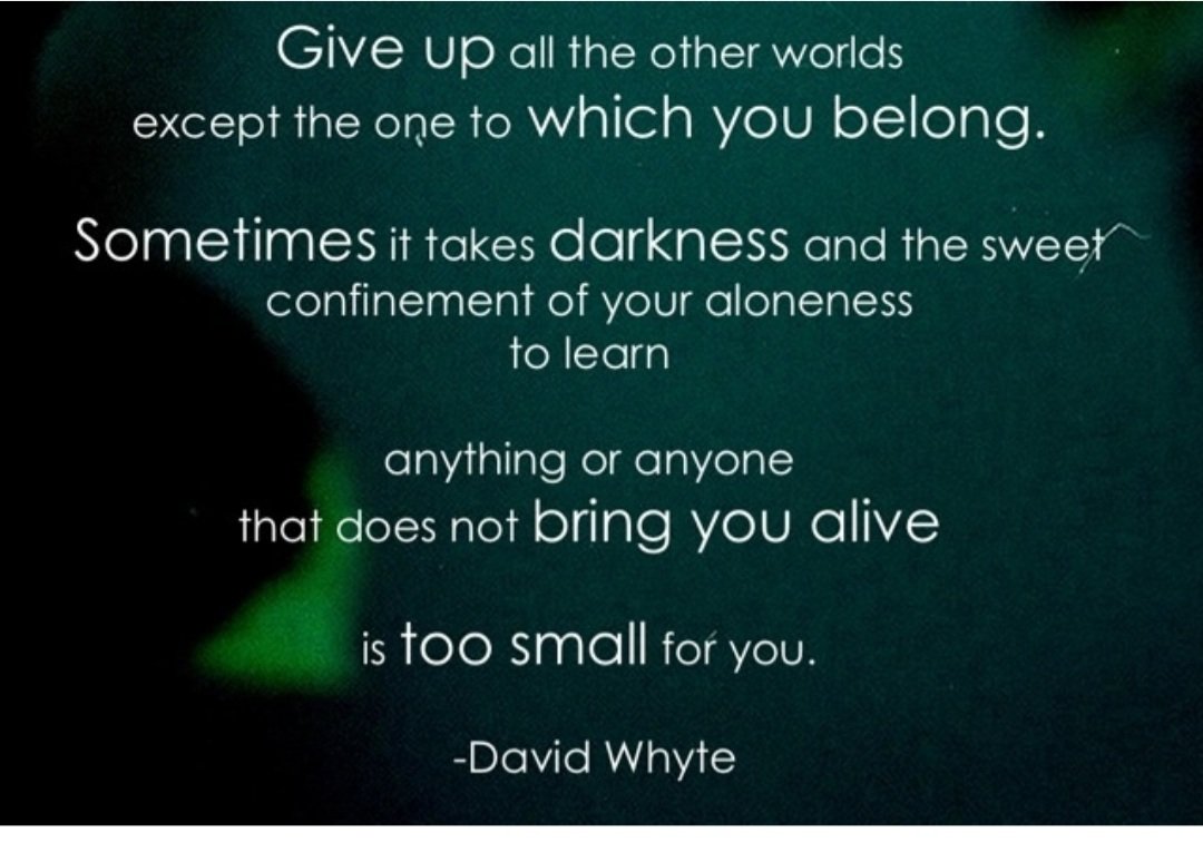 Anum (@empowered_space) on Twitter photo 
