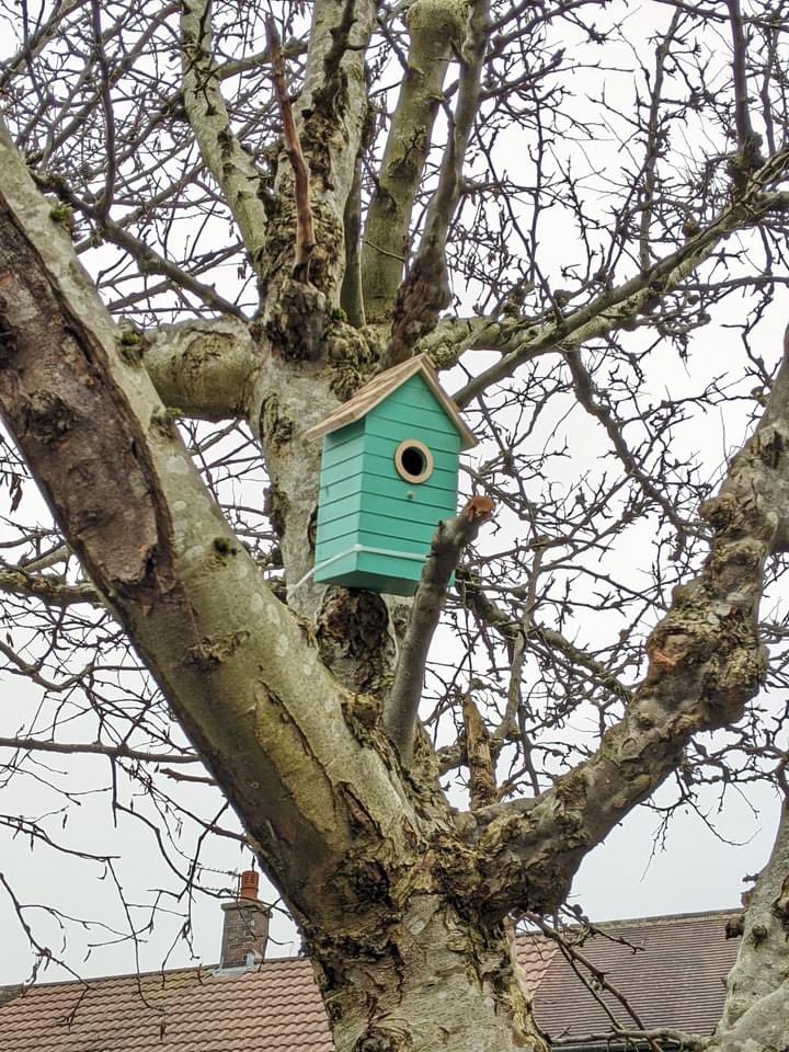 Northern_LilyGM's tweet photo. how cute are these bird houses 🏠 🐦?!

#homefornature #birds #wildlife #nature #communitygardening https://t.co/gsjGbfzeed