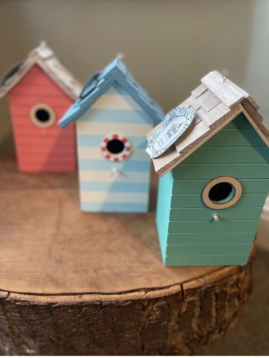 Northern_LilyGM's tweet photo. how cute are these bird houses 🏠 🐦?!

#homefornature #birds #wildlife #nature #communitygardening https://t.co/gsjGbfzeed