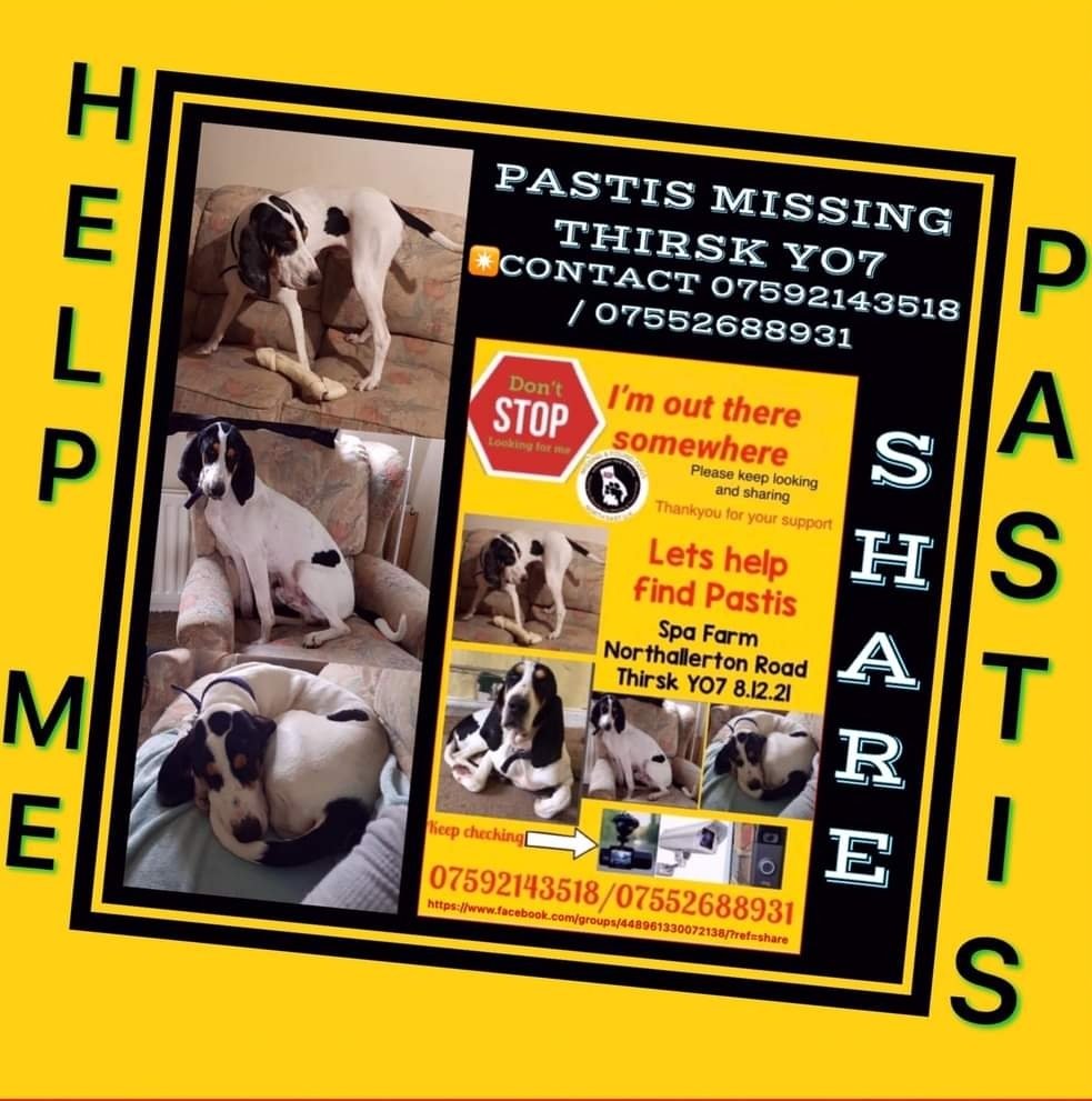 PASTIS #FindPastis

Male Hound type Adult White with black spots Black long floppy ears Microchipped Tattooed

#Missing 08 Dec 2021 Spa Farm #Northallerton Road #Thirsk YO7

People Keep Ripping down His Posters in Area 😪

facebook.com/groups/4489613…

doglost.co.uk/dog-blog.php?d…