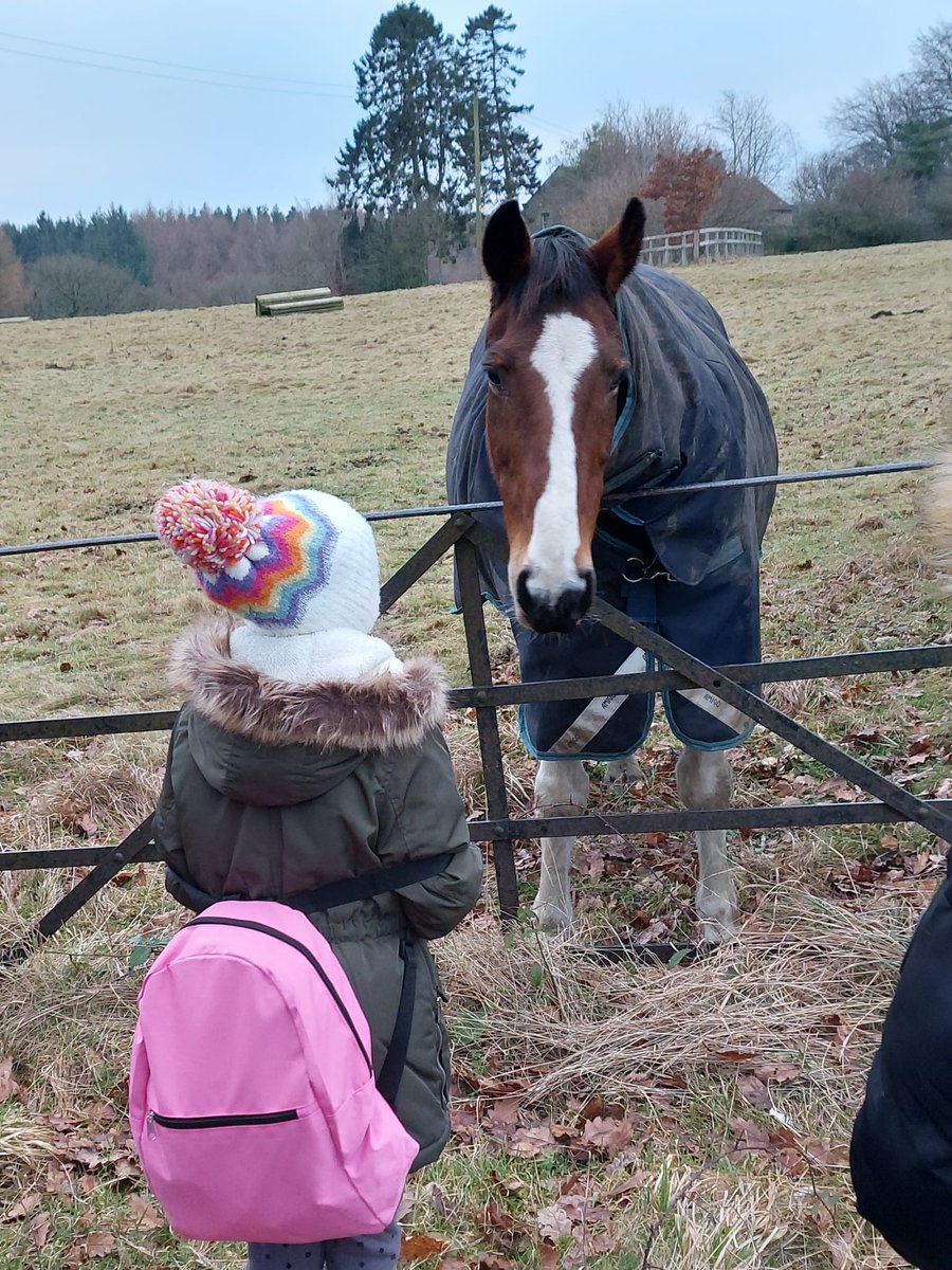 carmichaelmrs1's tweet photo. Meeting your favourite animal ❤ https://t.co/IULZFzP1ry