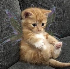 WholesomeMeme's tweet photo. https://t.co/dMQbQ0VBle