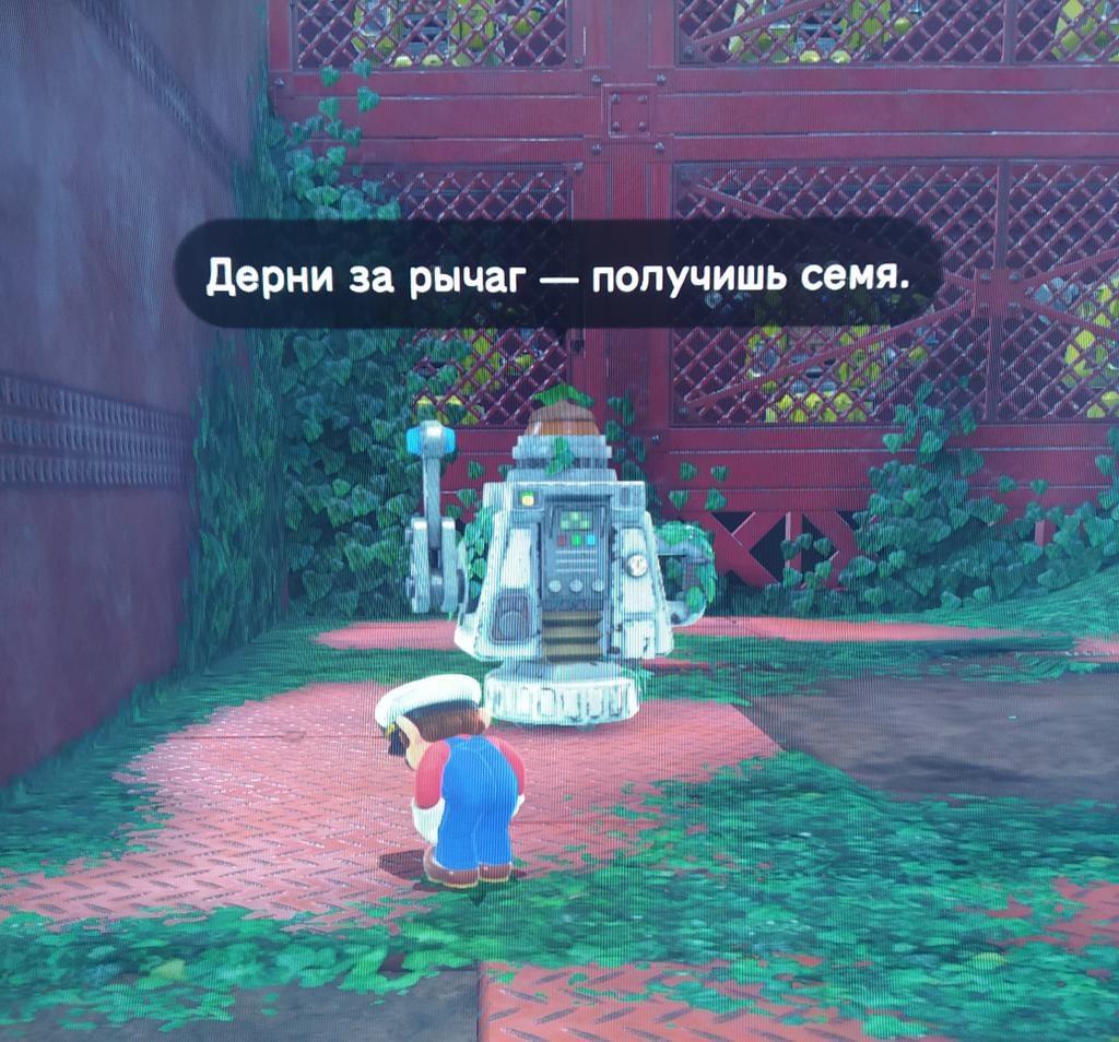 FJ-iVmyXMAMEeBZ?format=jpg&name=medium